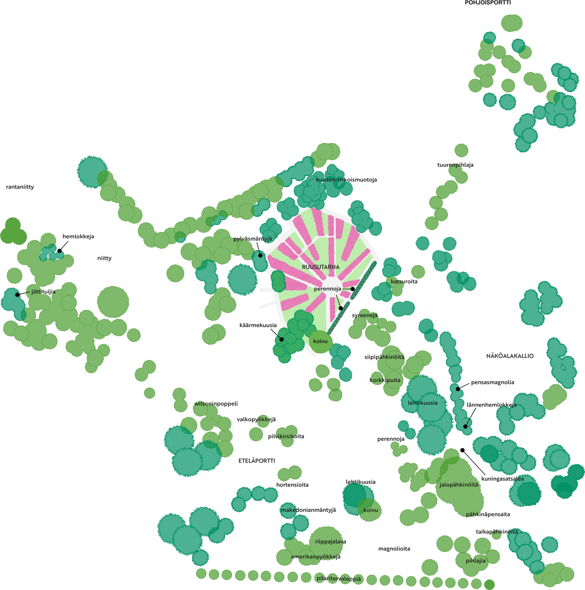 Meilahti Arboretum – Vihreät sylit