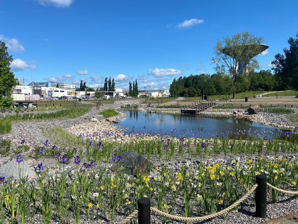 Kirsikka puisto Vihre t Sylit