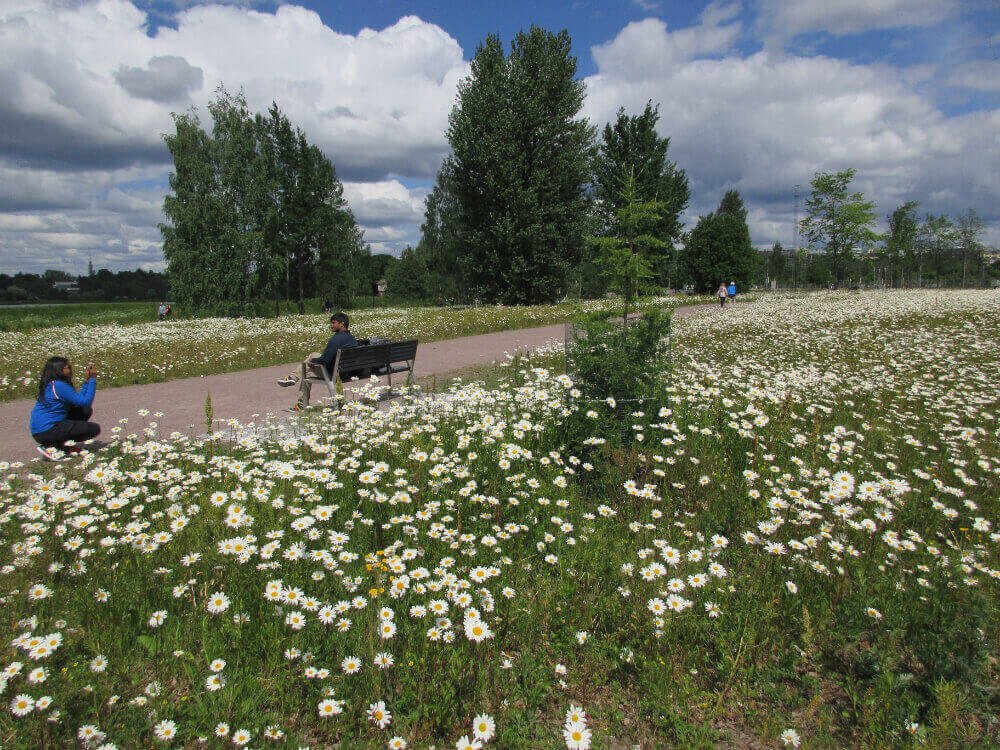 T l nlahdenpuisto Vihre t Sylit T l nlahdenpuisto Vihre t Sylit