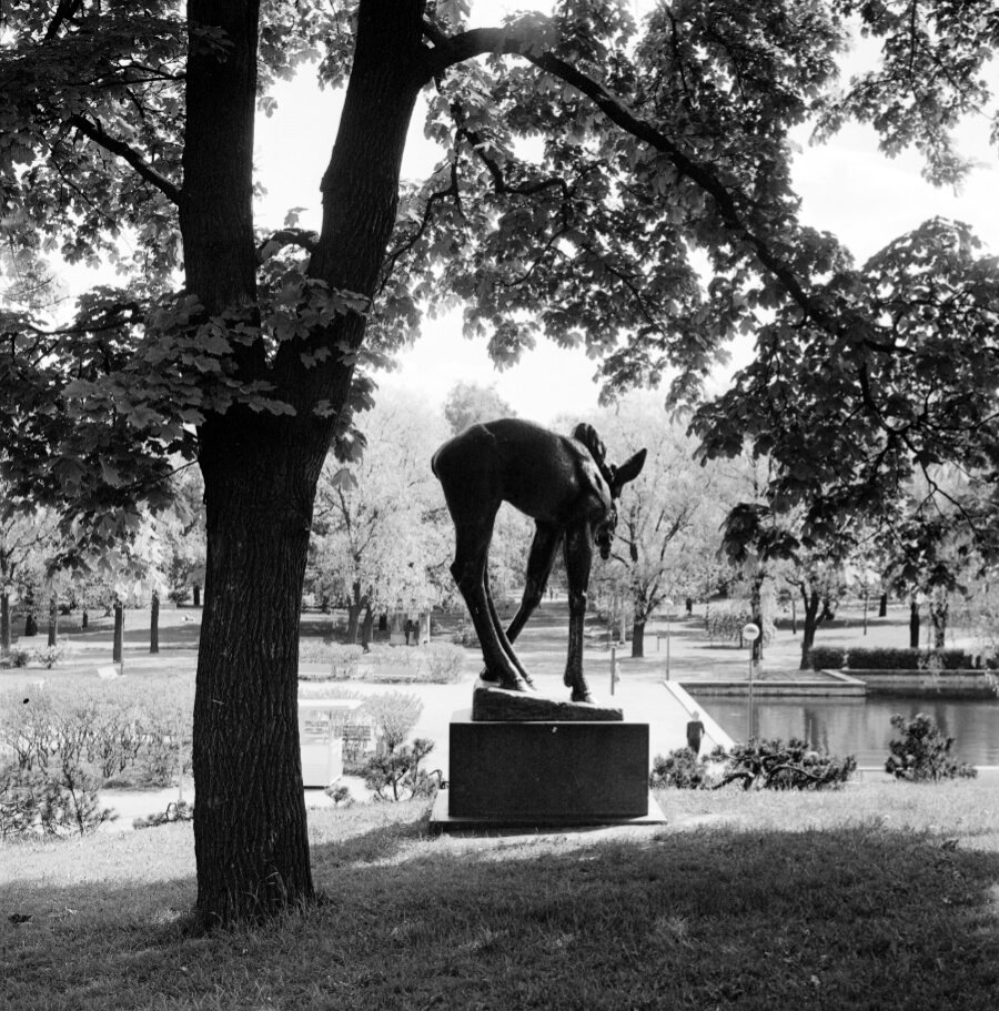 Kaisaniemenpuisto Vihre t Sylit Kaisaniemenpuisto Vihre t Sylit